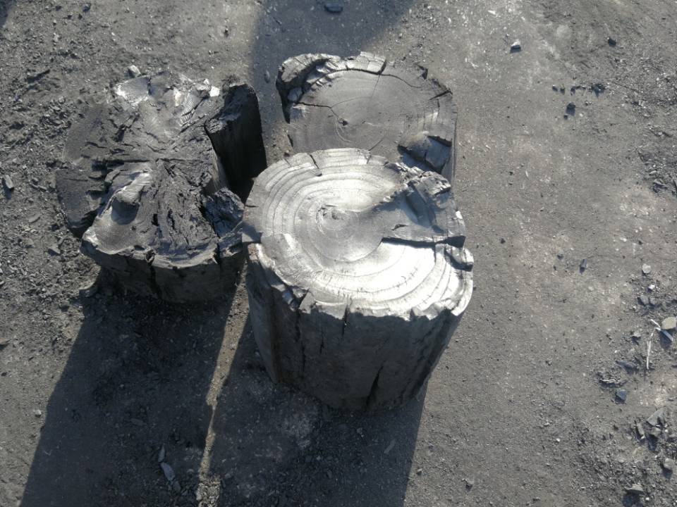 选购质优价廉的工业木炭   天达工业木炭